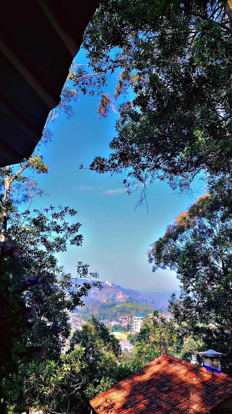 Hotel Ella Hillsite View Extérieur photo